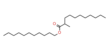 Undecyl 2-methylundecanoate